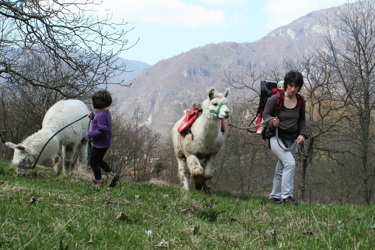 Il Capriolo Felice - Agriturismo Lastebasse 外观 照片